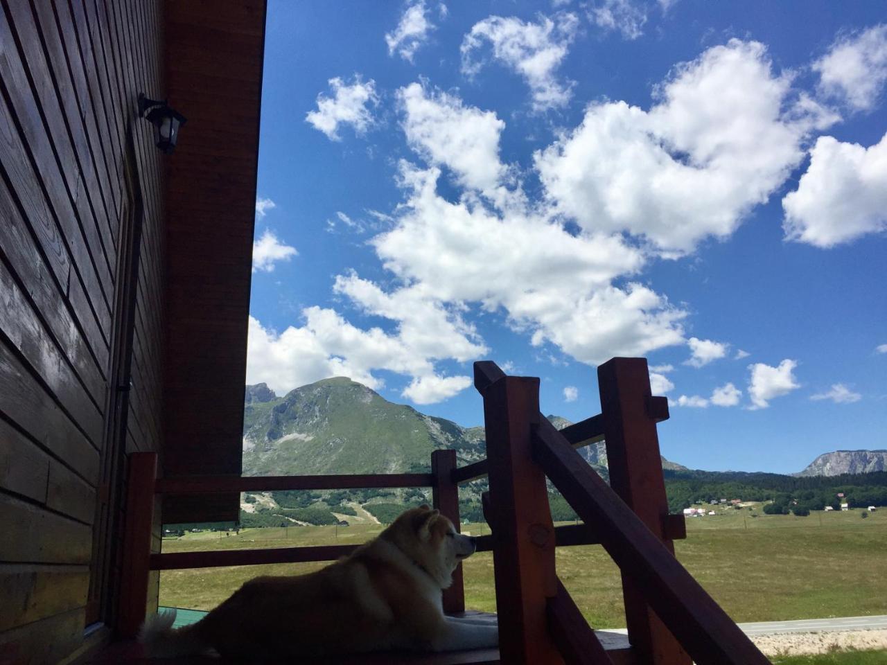 B&B Izvor Žabljak Екстериор снимка